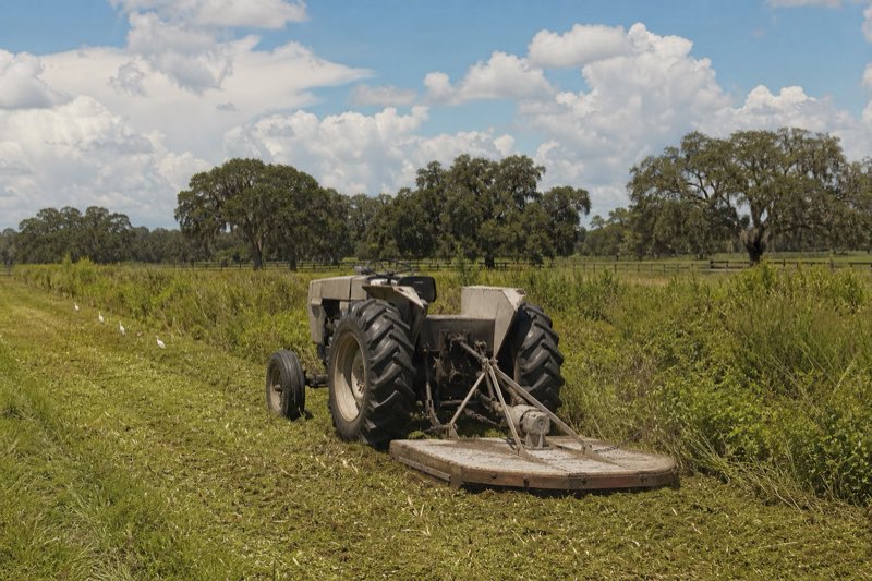 Tractor mowing tall overgrown pasture on rural acreage, with a cleaned fence line and scattered oaks in the background